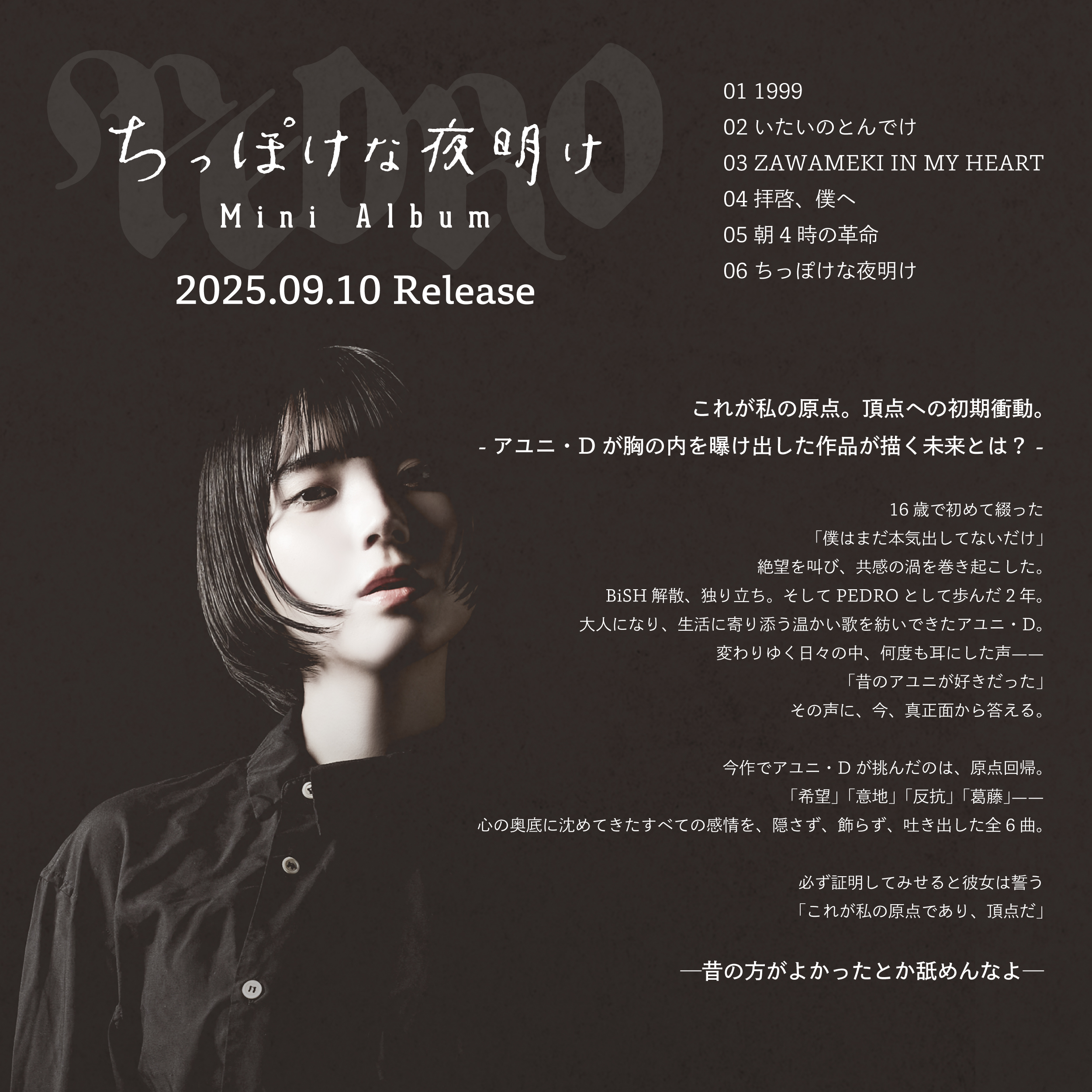 PEDRO ちっぽけな夜明け　Blu-ray ALBUM｜PEDRO OFFICIAL SITE