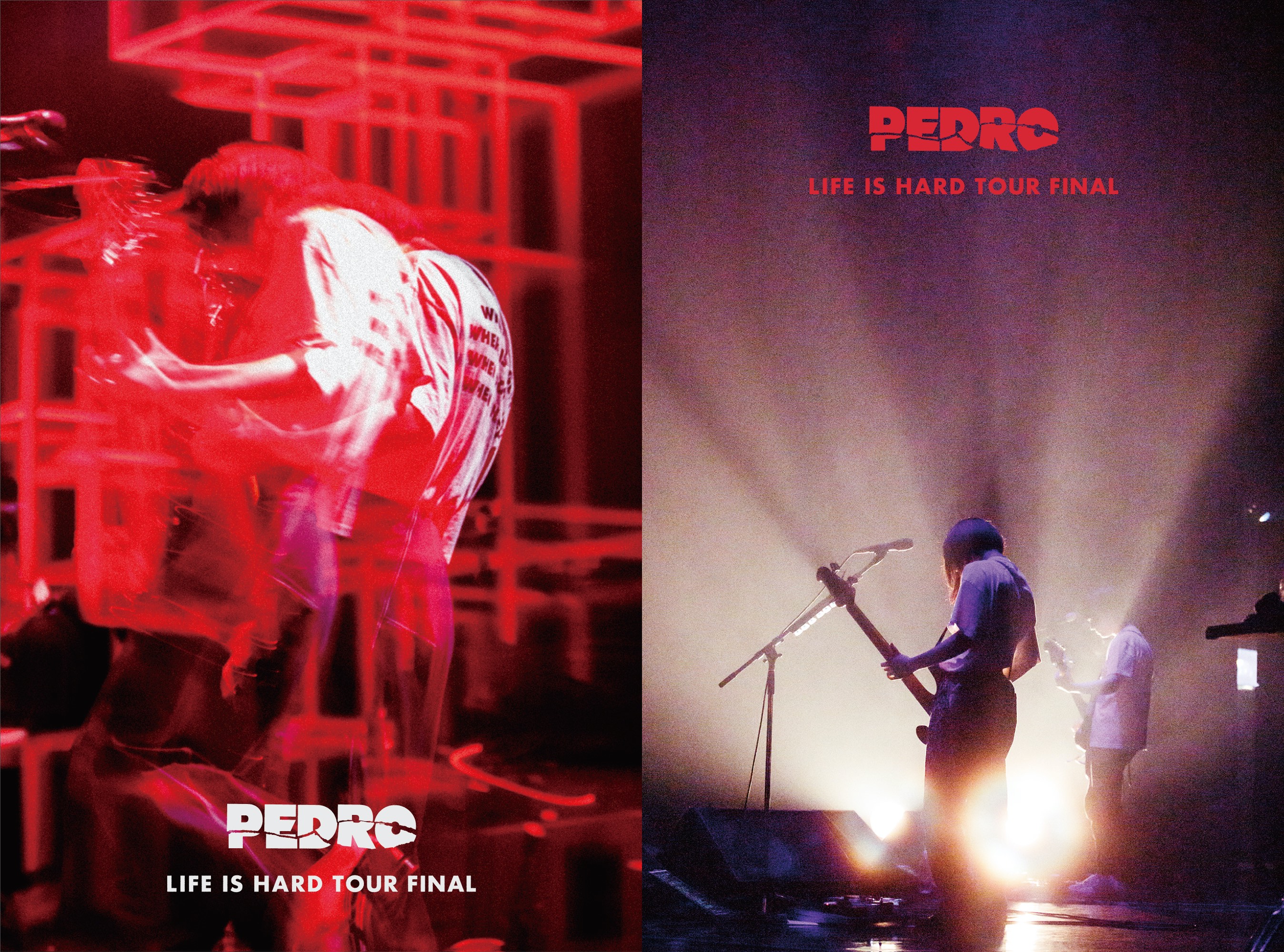 PEDRO LIFE IS HARD TOUR FINAL〈初回生産限定盤〉東京 - ミュージック