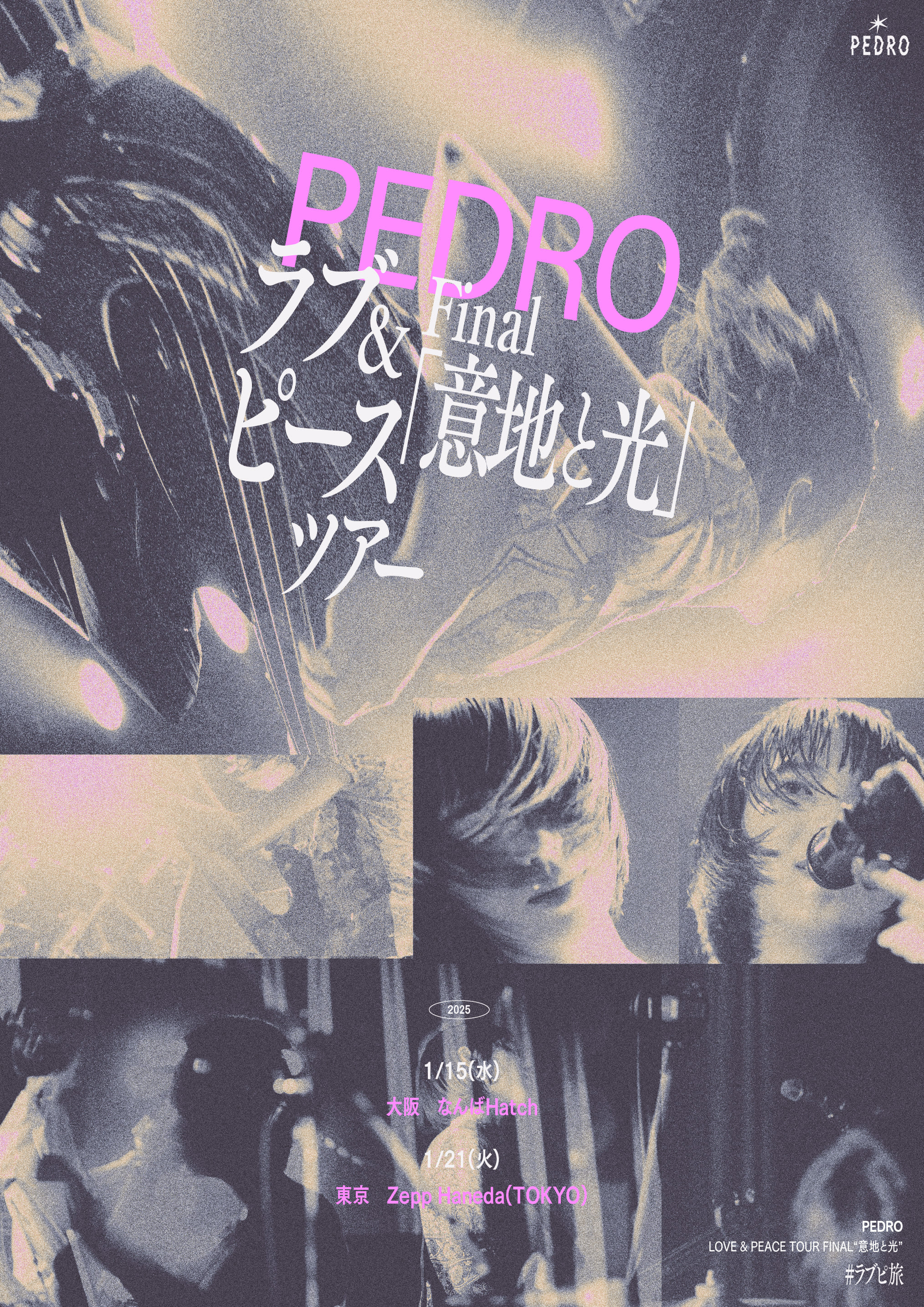PEDRO ラブ&ピースツアー Final 「意地と光」開催決定